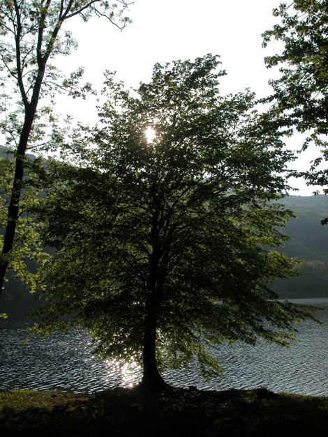 Riflesso del sole al tramonto sul lago